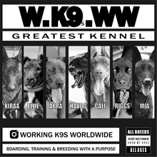 Load image into Gallery viewer, WK9WW Greatest Canines Album Cover Cotton T-Shirt